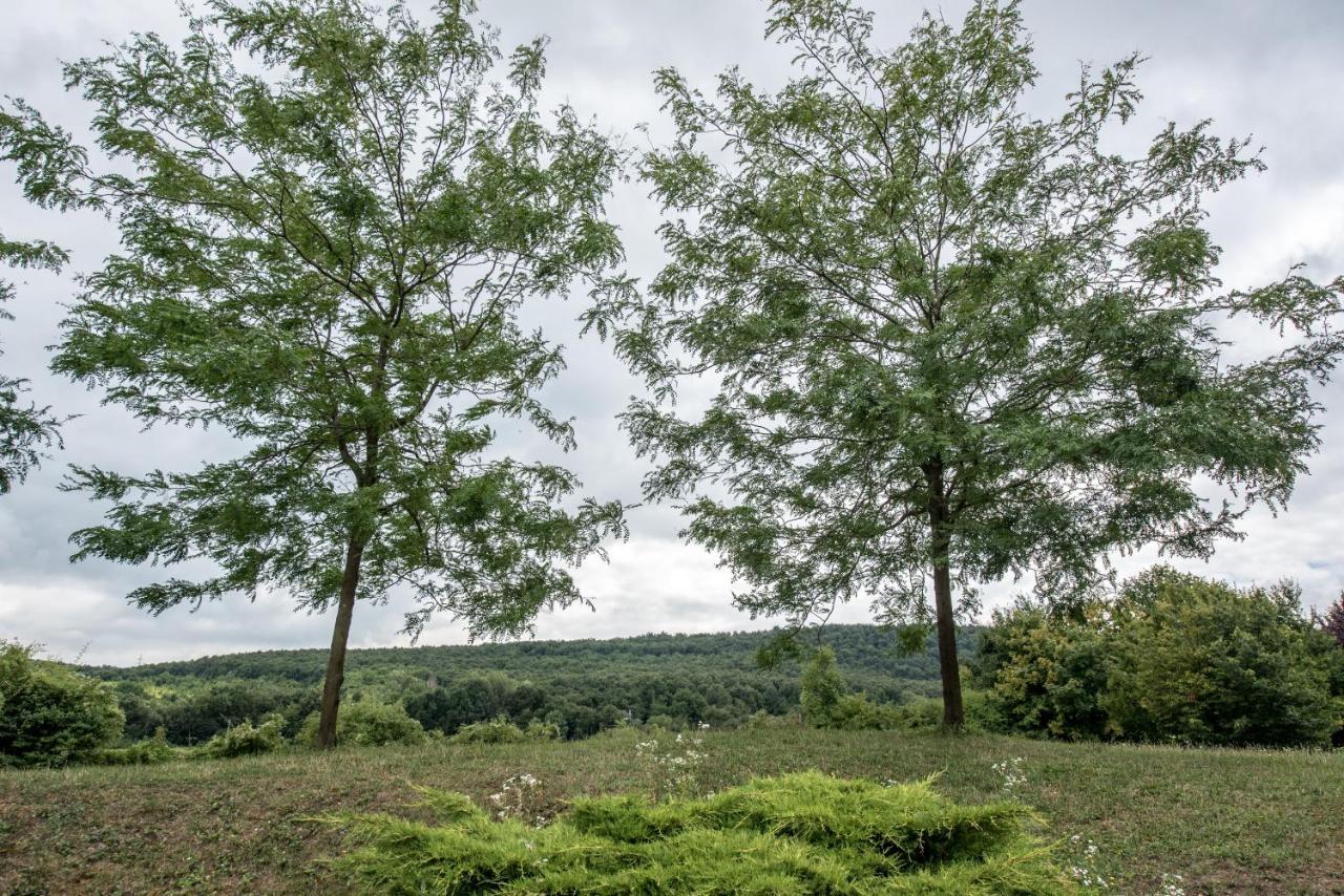 Petnehazy Aparthotel Budapest Bagian luar foto